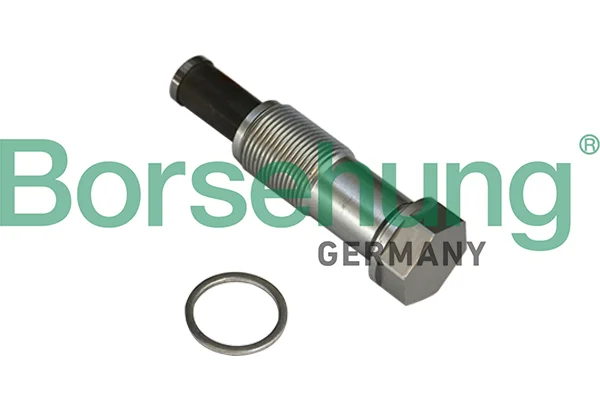 Napínák, rozvodový řetěz Borsehung B1T020 Napínák, rozvodový řetěz Borsehung B1T020