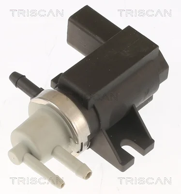 AGR-Ventil TRISCAN 881329103