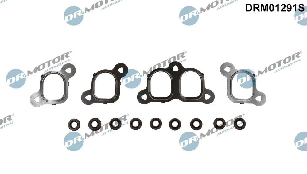 Sada těsnění, koleno sacího potrubí Dr.Motor Automotive DRM01291S Sada těsnění, koleno sacího potrubí Dr.Motor Automotive DRM01291S