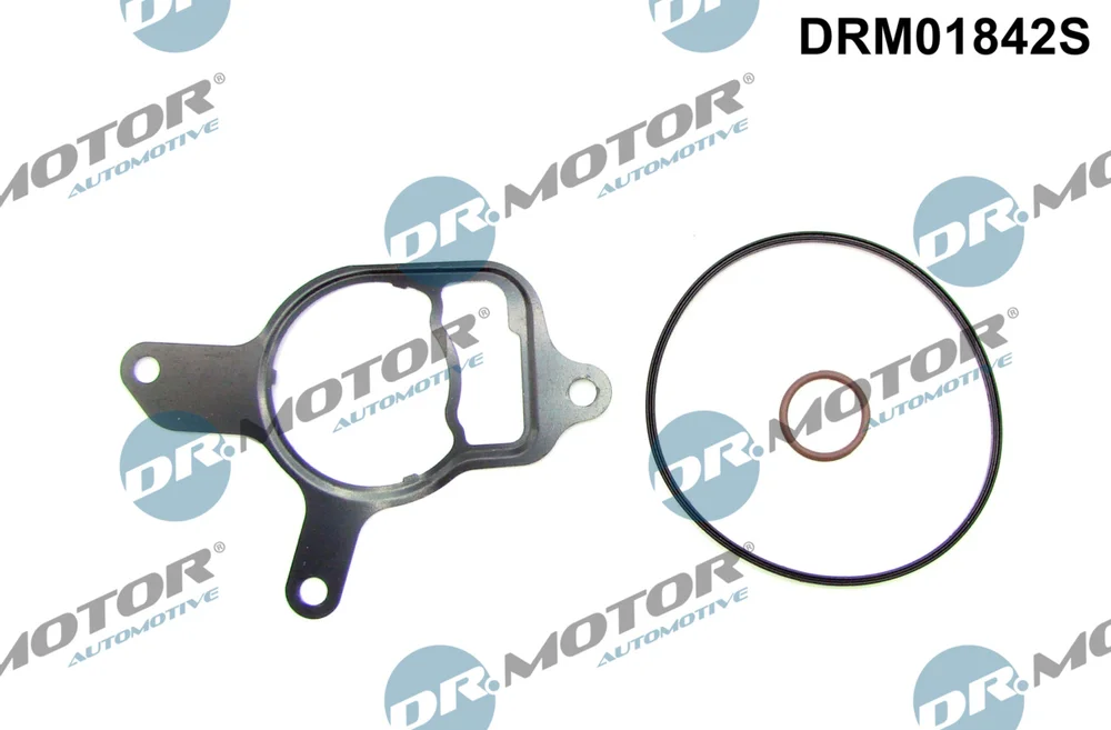 Sada těsnění, podtlaková pumpa Dr.Motor Automotive DRM01842S