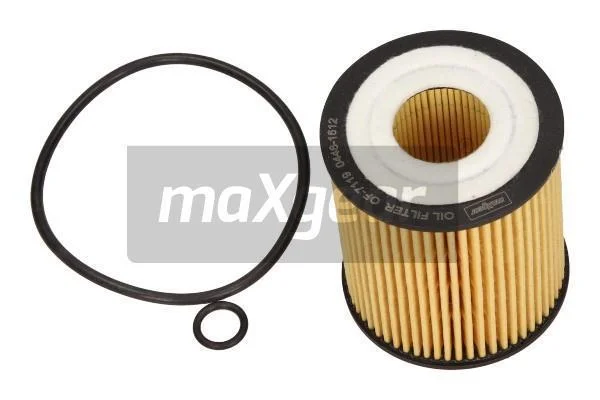 Olejový filtr MAXGEAR 26-0893 Olejový filtr MAXGEAR 26-0893