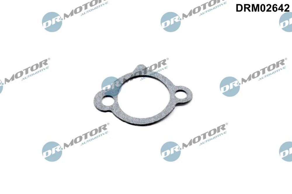 Těsnění, napínák rozvodového řetězu Dr.Motor Automotive DRM02642