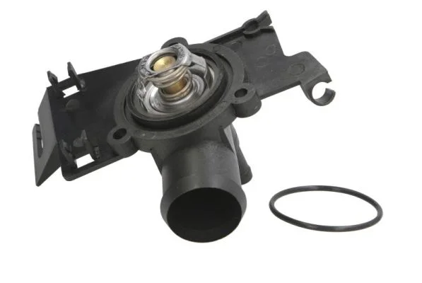 Termostat, chladivo THERMOTEC D2S002TT