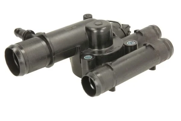 Termostat, chladivo THERMOTEC D21002TT – OE 1106100Q0C
